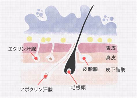 クンニ 臭い|7種類のデリケートゾーンのニオイ。原因と対処法と。